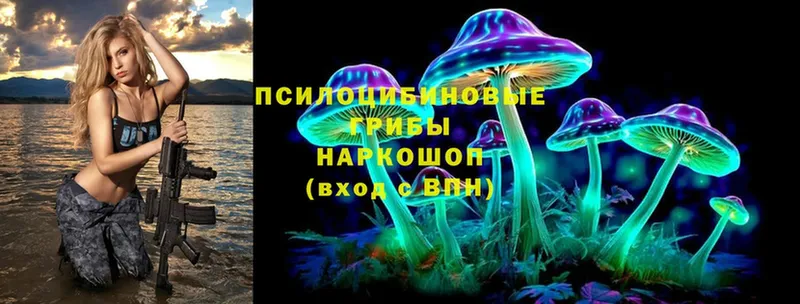 Псилоцибиновые грибы Magic Shrooms  дарнет шоп  Нефтекумск 